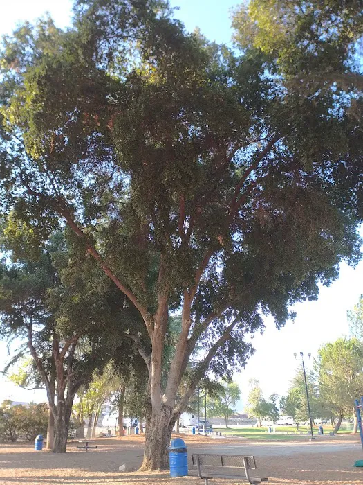 Noble Creek RV Park Picture 3