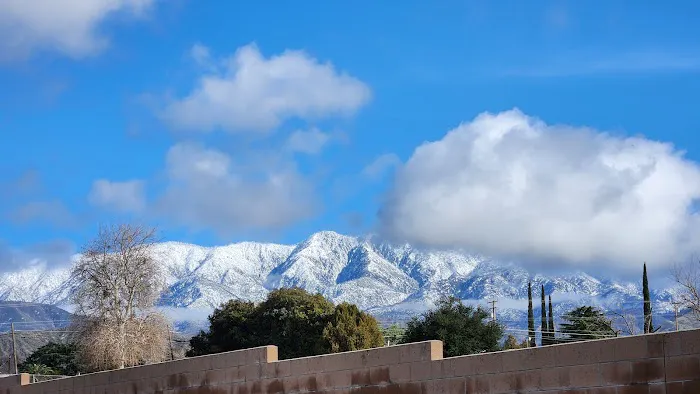 Royal Coach Picture 2