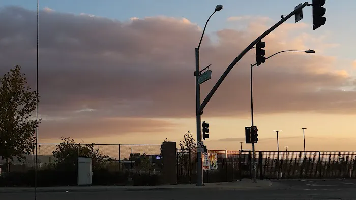 Royal Coach Picture 4