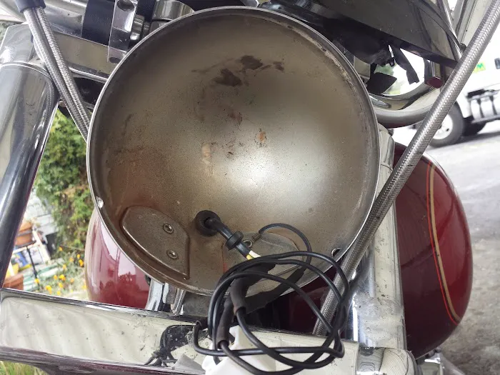 Royal Coach Picture 10