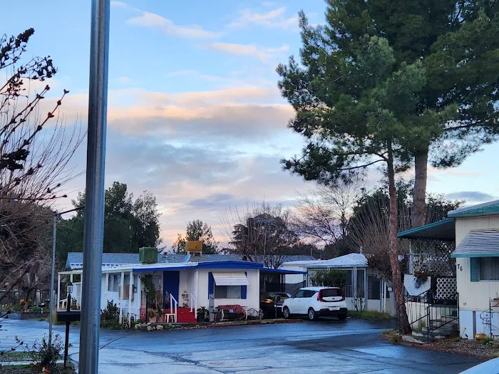 Royal Coach Picture 8