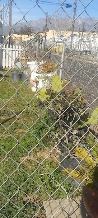 Kozy trailer park Picture 5