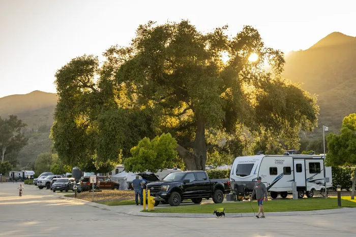 Pala Casino RV Resort Picture 3