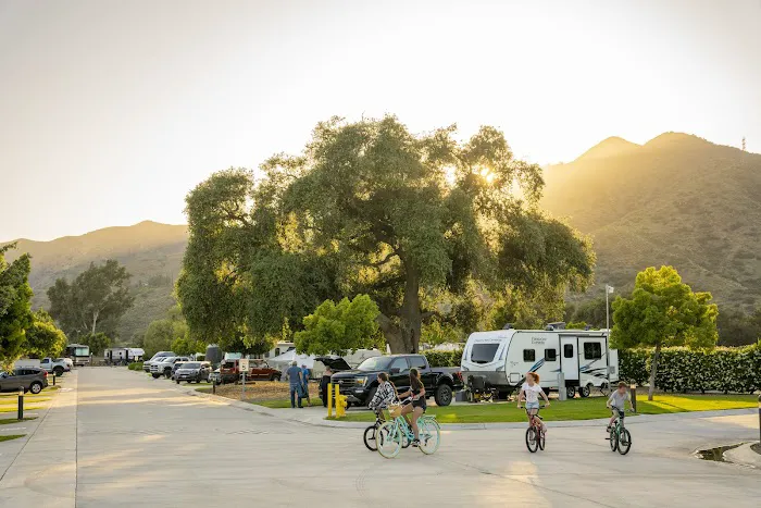 Pala Casino RV Resort Picture 8