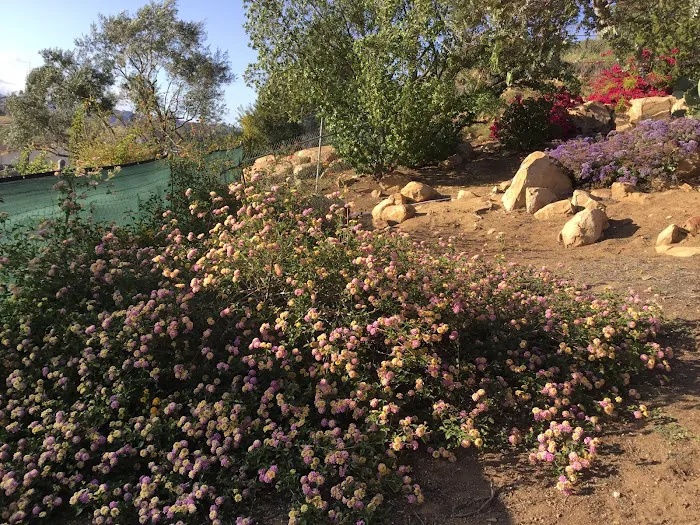 Valley View Mobilehome Park Picture 7
