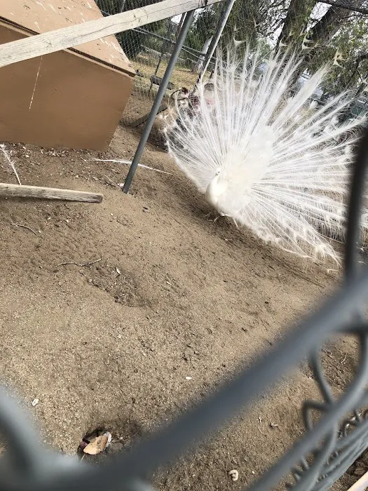 Tucalota Springs RV Park Picture 3