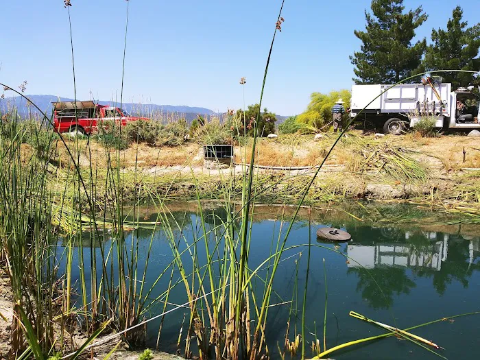 Jojoba Hills SKP Resort Picture 7