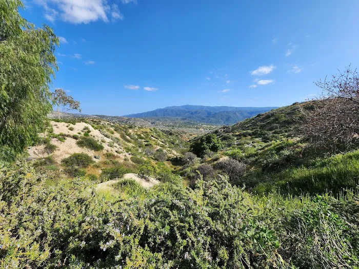 Jojoba Hills SKP Resort Picture 5