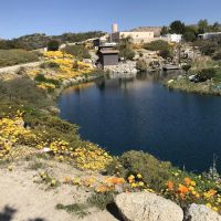 Jojoba Hills SKP Resort ico
