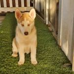 Arviso Mobile Home Park