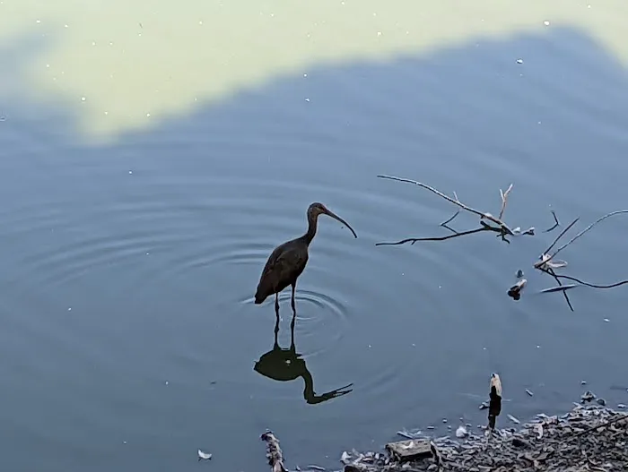 Reflection Lake RV Park Picture 4