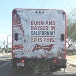 Mountain Lyon RV Resort