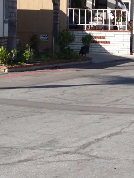 Sun Valley Estates Manufactured Housing Community Picture 1