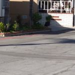 Sun Valley Estates Manufactured Housing Community