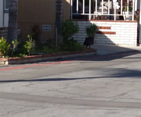 Sun Valley Estates Manufactured Housing Community