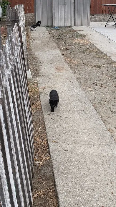 Jackson Mobile Home Park Picture 3