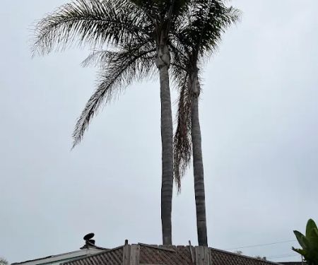 Hilltop Trailer Park