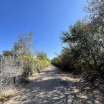 Twin Oaks Valley Park