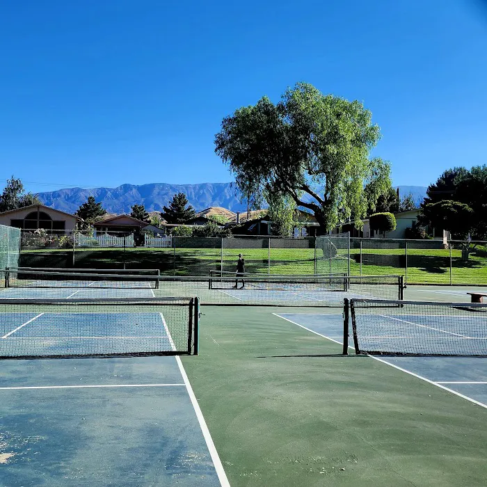 Mountain Springs Picture 5