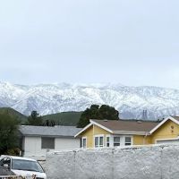 Mountain Springs ico