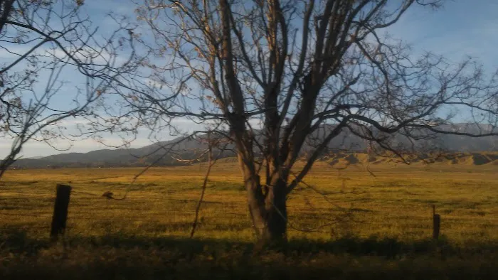Twin View Picture 9