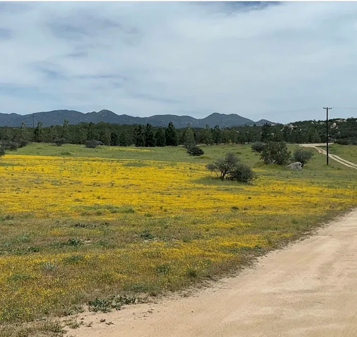 Bradford Run (Formerly Cowboy Country Campground) Picture 6