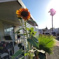 Santa Rosa Mobile Home Community ico