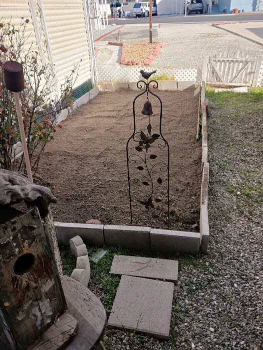 Rancho De Anza Mobile Park Picture 2