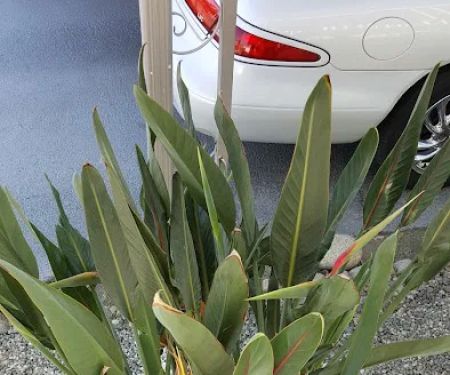 Arroyo Fairways Manufactured Home Community