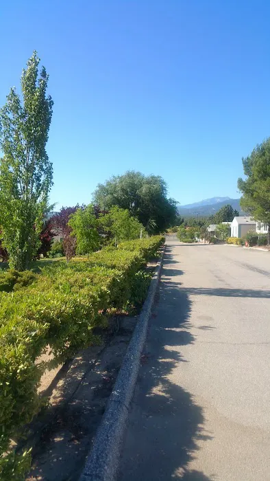 Anza Pines Mobile Home Park Picture 4