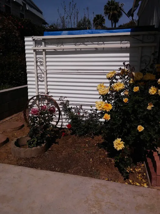Rancho San Marcos Mobile Home Park Picture 6