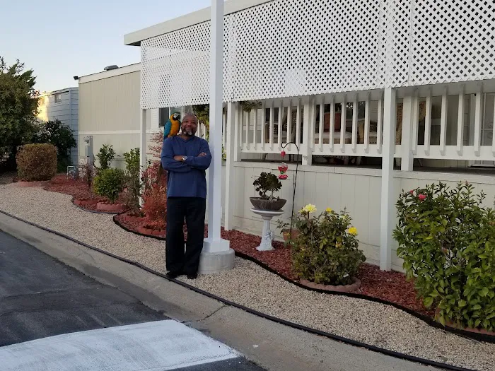 Town & Country Club Park Picture 8