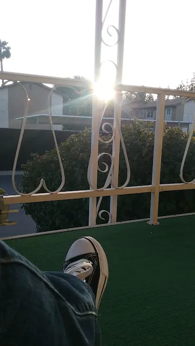 Town & Country Club Park Picture 10