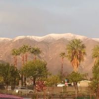 Parkview Estates ico