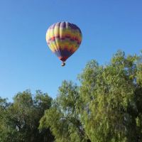 1097 North State LLC ico