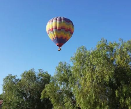 1097 North State LLC