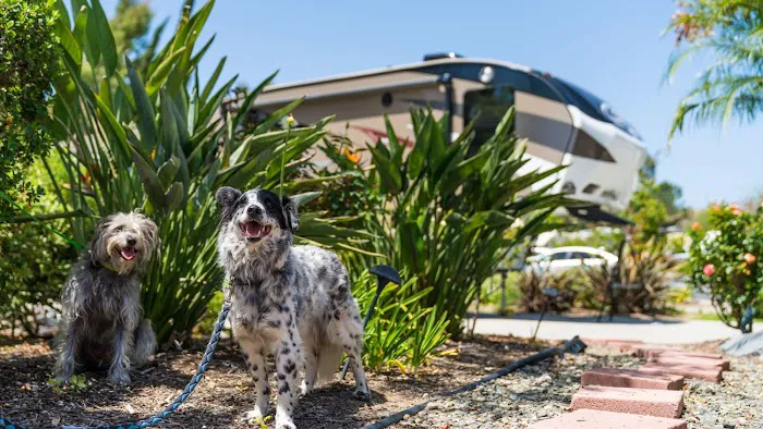 Escondido RV Resort Picture 5