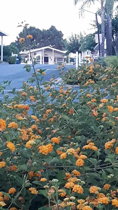 Rancho Escondido Picture 7