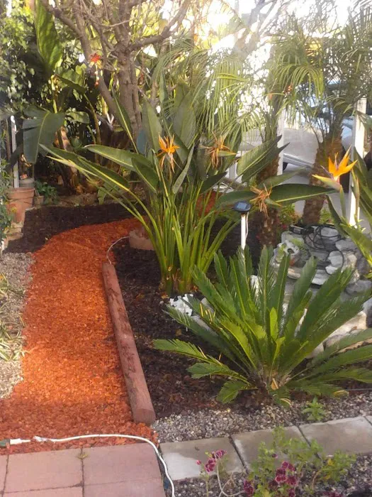 Casa Grande Estates Picture 4
