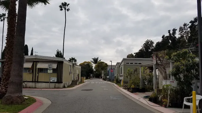 Mountain View Mobile Inn Picture 5