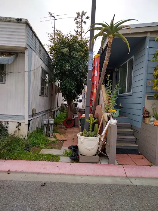 Mountain View Mobile Inn Picture 2