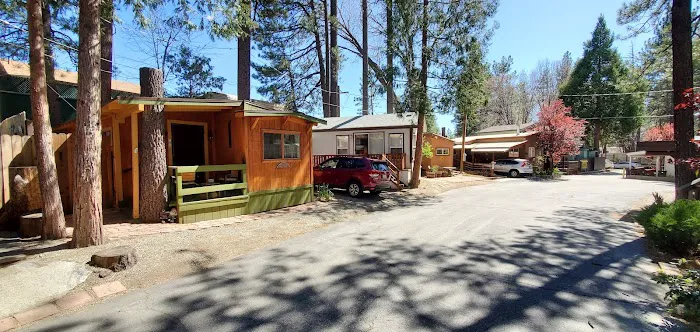 Idyllwild Trailer Park Picture 2
