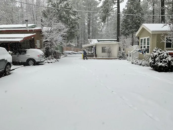 Idyllwild Trailer Park Picture 5