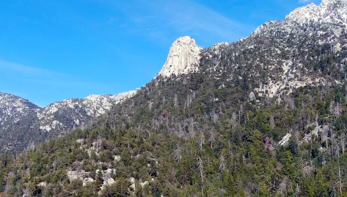Idyllwild Trailer Park Picture 4