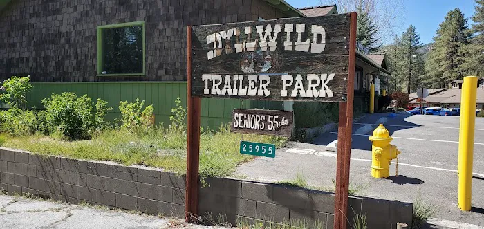 Idyllwild Trailer Park Picture 1