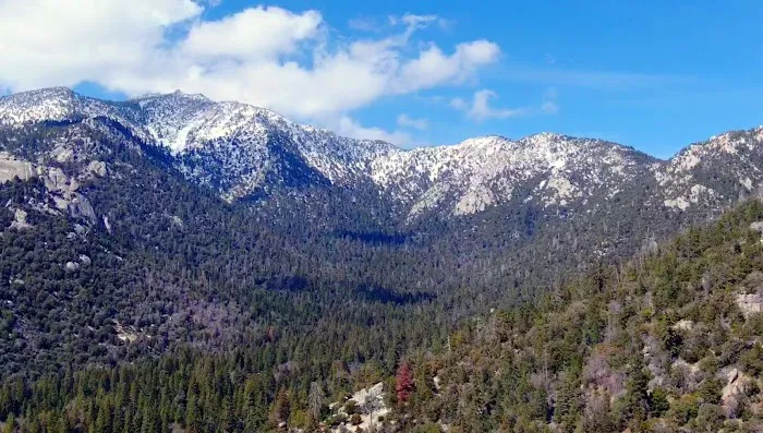 Idyllwild Trailer Park Picture 6