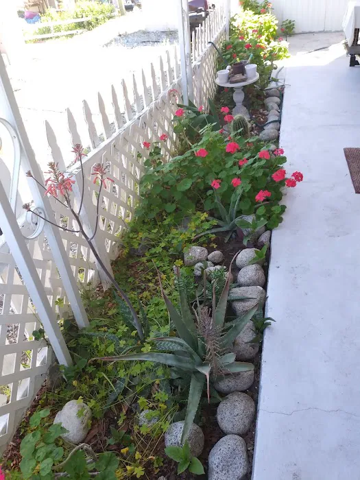 Oasis Mobile Home Park Picture 2