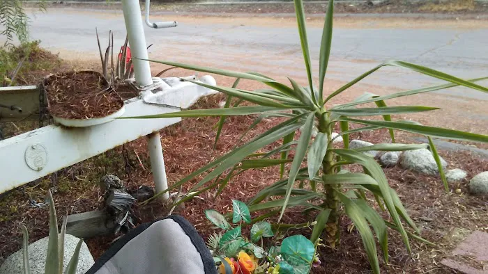 Oasis Mobile Home Park Picture 1