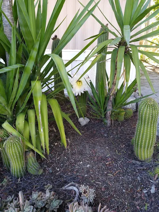 Oasis Mobile Home Park Picture 7