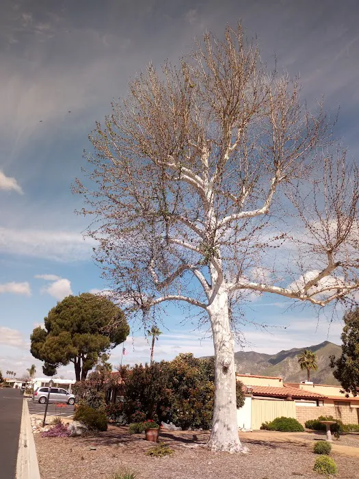 Villa Del Monte Picture 6